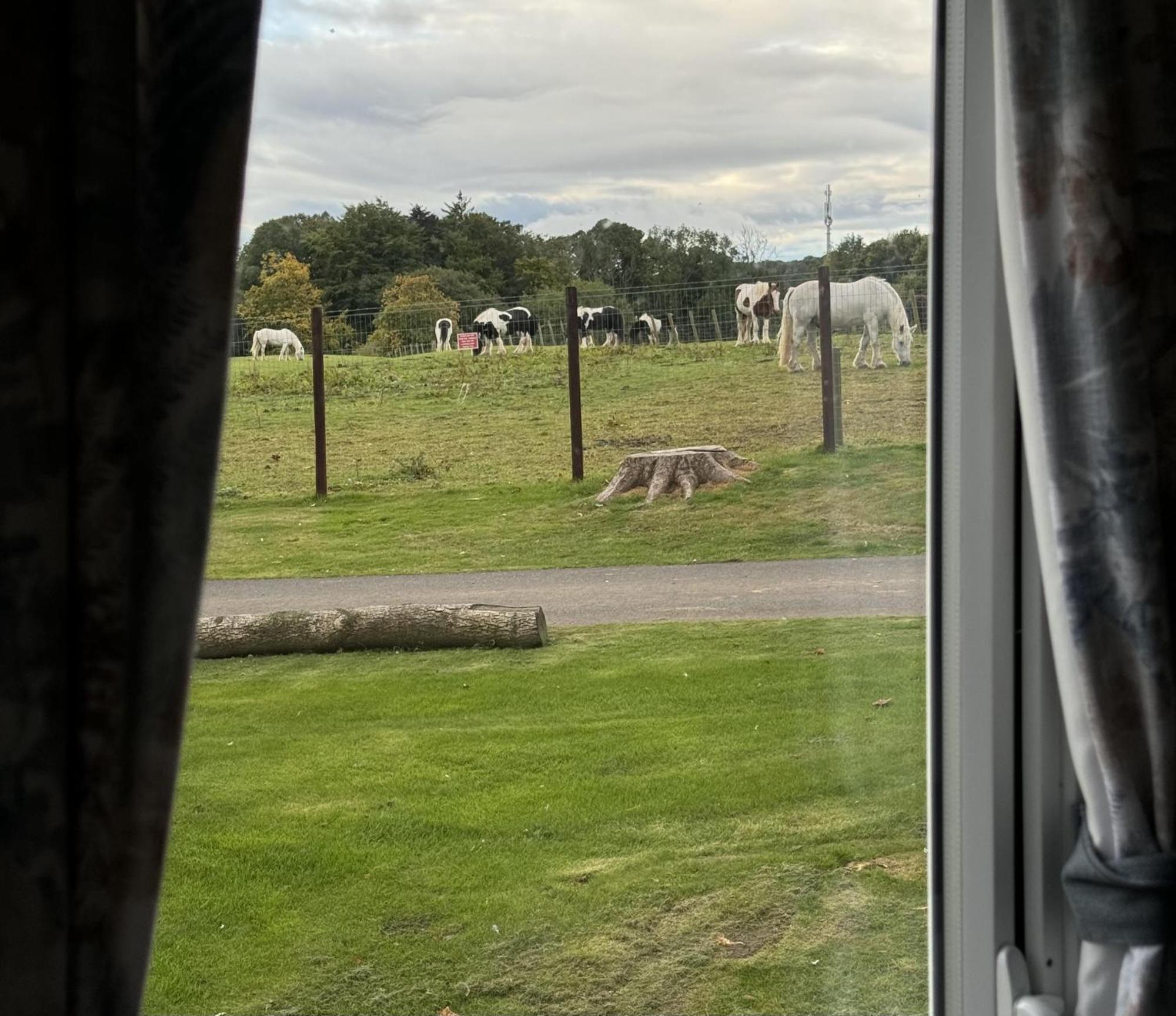 Pony Gate Caravan On Haggerstone Castle West Lawn Berwick Upon Tweed Buitenkant foto